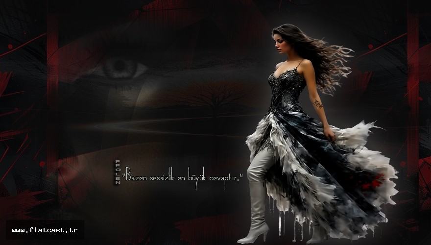 sessizliq...........