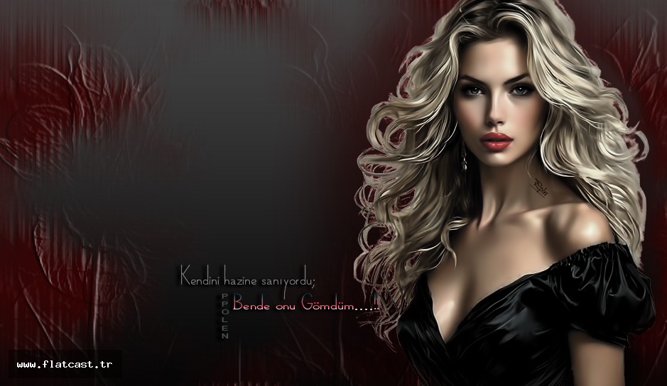 kendini hazine sanıyordu.......bende onu qömdüm......