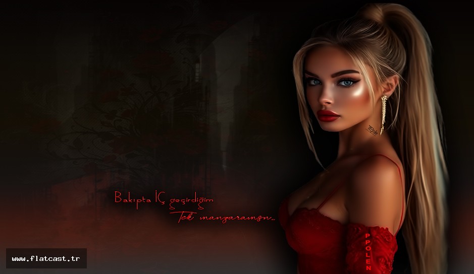 tek manzaramsın..........